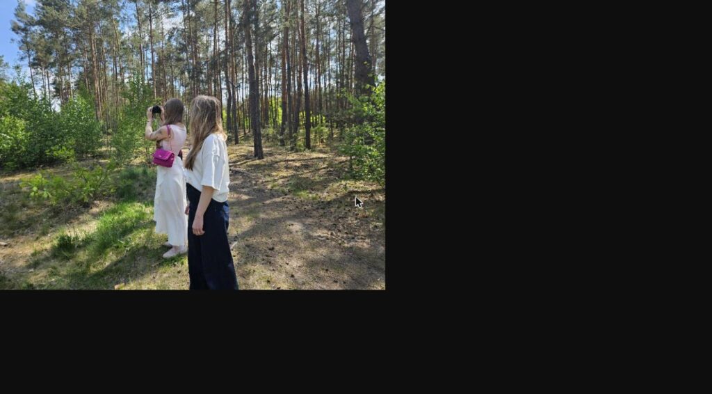 Participants of a wellbeing workshop on a mindfulness walk in a pine forest, Sowia Wola, May 2026